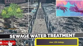 SEWAGE WATER TREATMENT IN HINDI || CLASS 12TH BIOLOGY ECOLOGY TOPIC