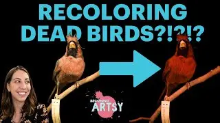 Why We Are Recoloring Dead Birds (BECOMING ARTSY 304)