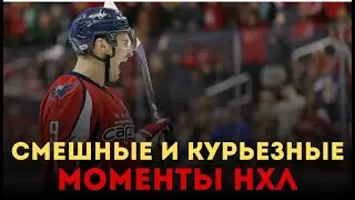 Смешные, курьезные и забавные моменты в хоккее NHL.