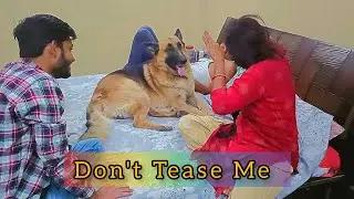 Mummy Ne Tyson Ko Chidhaya Badaa Mazaa Aaya || German Shepherd Dog