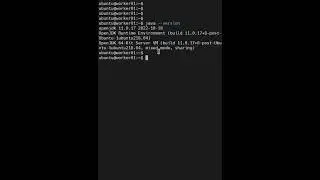 How to find java version in ubuntu?