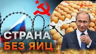 Прямиком в СССР! Дефицит ЯИЦ вернул россиян в ПРОШЛОЕ