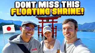 A Day On Japan's Most Beautiful Island! 🇯🇵 (Itsukushima in Hiroshima, Japan)
