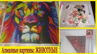 Алмазная вышивка из Китая. Три алмазные картины: Животные.  Обзор наборов алмазной мозаики.