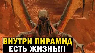 УЧЕНЫЕ В ДИКОМ ШОКЕ! ВНУТРИ ПИРАМИД ЕСТЬ ЖИЗНЬ!