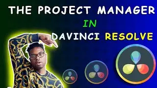 Davinci Resolve Project Manager | Tour of the Page