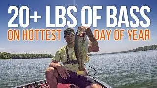 Ledge Fishing for Bass (The hotter the better)