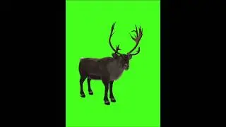 Christmas green screen footage pack 2022, Santa green screen(only for subscribers)