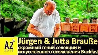 Юрген и Ютта Браузе (DE): в гостях у немецкого селекционера пчел 