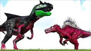 HYBRID SPINOBARY SPINOCNIDARYX VS ALPHA CARCHARODONTOSAURUS  (ARK SURVIVAL EVOLVED BATTLE)