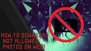 How To Download Not Allowed Photos On WEB!