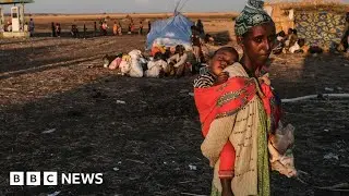 Ethiopian civil war leads to thousands of childrens deaths through malnutrition - BBC News