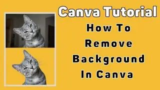 How To Remove Background In Canva for FREE 🙌😍👌T