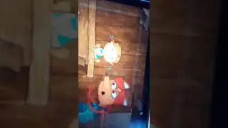жихарка
