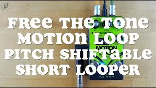 Free The Tone Motion Loop ML-1L Pitch Shiftable Short Looper