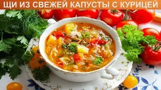 КАК СВАРИТЬ ЩИ ИЗ СВЕЖЕЙ КАПУСТЫ С КУРИЦЕЙ? Лёгкий и вкусный суп щи из свежей капусты с курицей