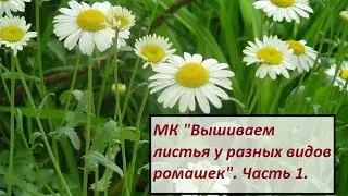 МК 