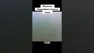 Соми мутанти #чорнобиль