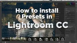 Lightroom Quick Tip - How to install Presets in Lightroom CC