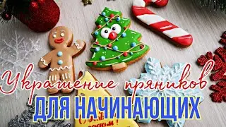 🎅✨НОВОГОДНИЕ пряники для НАЧИНАЮЩИХ ✨ЛЁГКИЙ способ украшения ПРЯНИКОВ✨Зарема Тортики 🎂Gingerbread