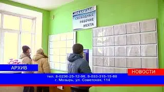 Каким профессиям можно обучиться в Мозыре бесплатно? Об этом рассказали в службе занятости