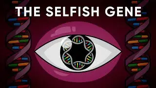 What Is The Gene's Eye View of Evolution? Stated Clearly