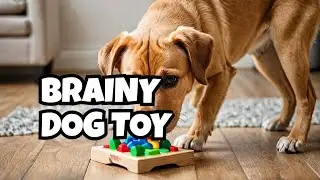 A Unique Dog Puzzle Toy to Challenge Your Pet!