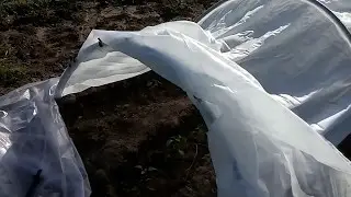 Знакомьтесь—парник 