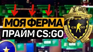 МОЯ ФЕРМА ПРАЙМ CS:GO / ДОХОД ФЕРМЫ АККАУНТОВ!