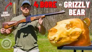 4 BORE Rifle vs Grizzly Bear 🐻 (The Biggest Rifle Ever !!!)