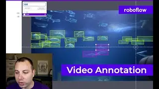 Annotating Videos for Object Detection