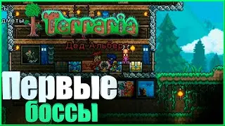 Босс раш #1 Глаз ктулху, Король слизней и Пожиратель миров | Terraria