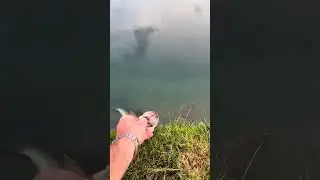 Оце так допоміг😏 