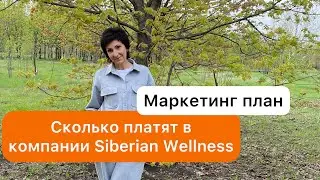 Выгоды Маркетинг плана Siberian Wellness (Сибирское здоровье)