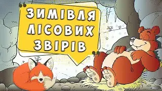 Зимівля лісових ЗВІРІВ 🐻 пізнавальне відео для дітей