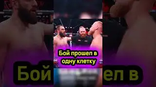 Бой прошел в одну клетку!!! Бекхан Мальсагов vs Артем Ростовский #shorts #popmma