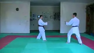 Demonstration Kihon Kumite [WADO KAI] - 4/2