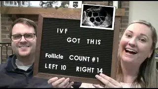Follicle Scan #1 Results (Spoiler: GREAT Numbers)