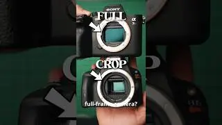 Crop Sensor VS Full Frame - What’s The Difference?