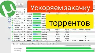 Как отключить проверку в uTorrent и убрать авто проверку (пересчет хеша) Инструкция