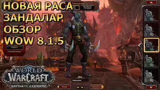 НОВАЯ РАСА WOW 8.1.5 ЗАНДАЛАРЫ ОБЗОР
