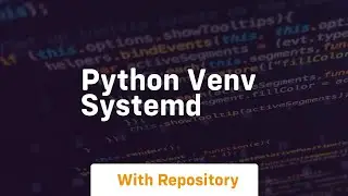 python venv systemd