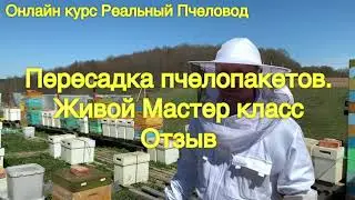 Отзыв Мастер класс Тренинг. Пересадка пчелопакетов. Живое участие.