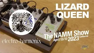 NAMM 2023 - Electro Harmonix Lizard Queen Octave/Distortion  - AmericanMusical.com