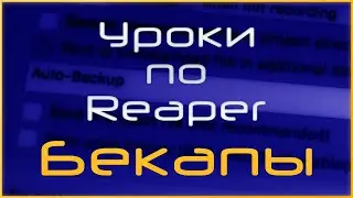 Создание автоматических резервных копий в Reaper