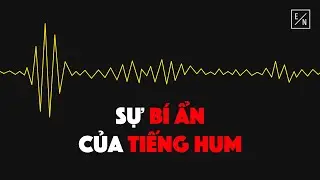 Đã Bao Giờ Bạn Nghe Thấy Tiếng Hum ?