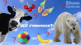 Розвиваючі мультики для дітей☀️ Для Дітей  від 1-2 року ☀️Українською  мовою☀️ Цікаві загадки