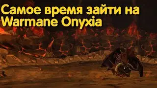 Warmane Onyxia спустя две недели