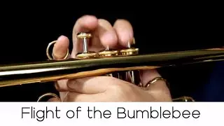 Flight of the Bumblebee (Classical Series n.7) - Andrea Giuffredi trumpet