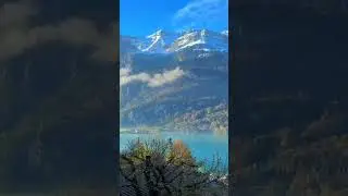 Добавь эту музыку себе в плейлист #automobile #bassmusicmix #wjrec #travel #nature #love #live
